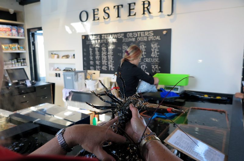 In der Oesterij kommen frische Meeresfrüchte auf die Tische und können auch "to go" erworben werden.