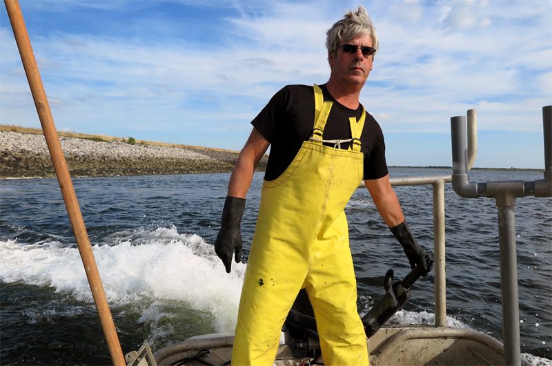 Der Fischer und das Meer: Henk Jumelet lädt uns auf sein Boot ein.
